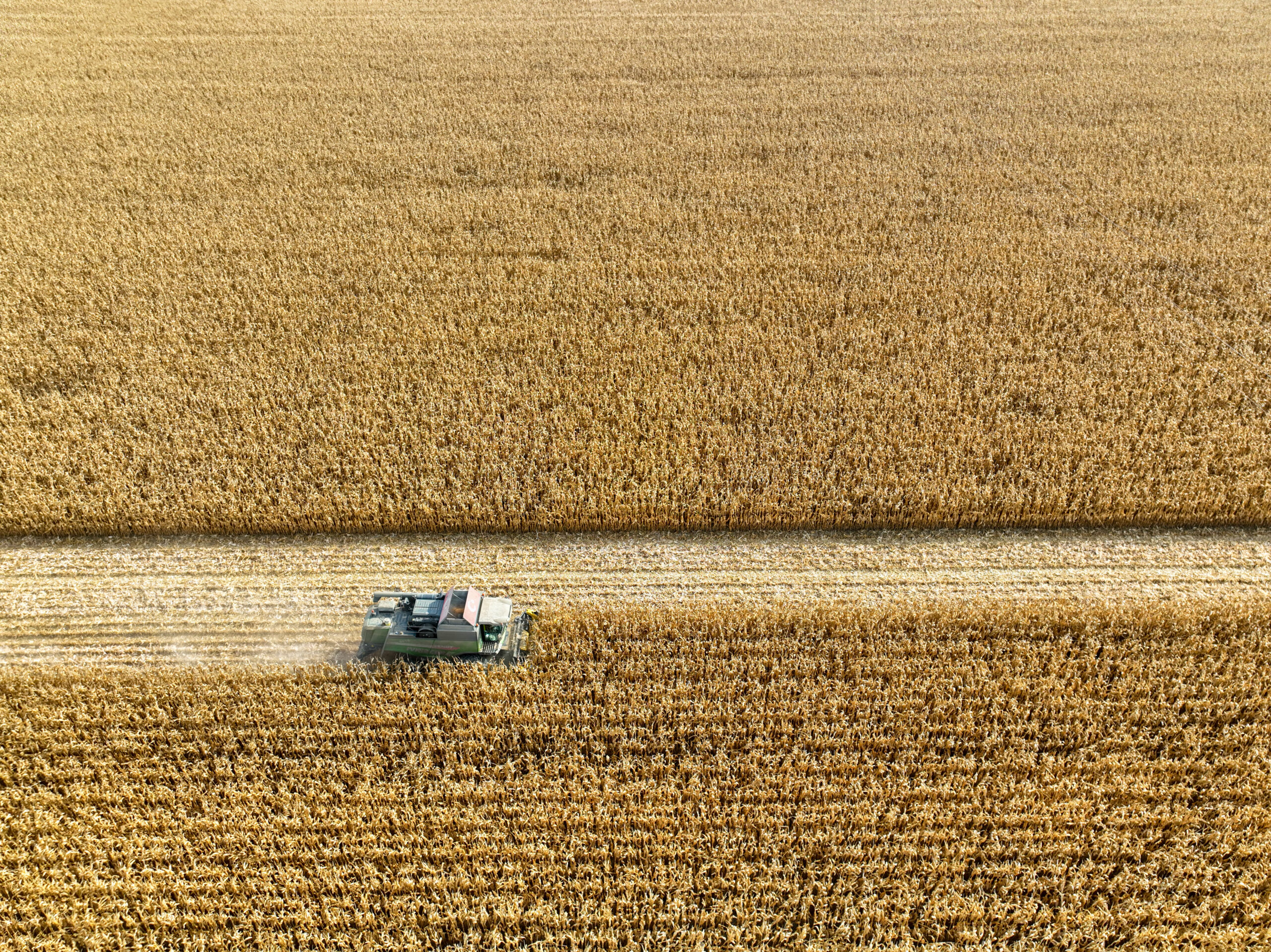 ISO Certifications for Land Leasing in the US: Applicable ISO Standards, Requirements, and Benefits