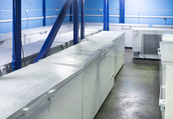 Many white small refrigerators stand in rows in a bright warehouse. Refrigeration Department of the restaurant